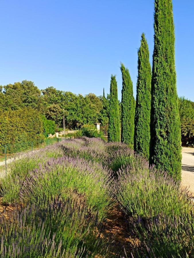 مبيت وإفطار Rognes La Bastide De Cocagne المظهر الخارجي الصورة